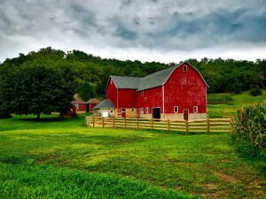 Guide to the Barn Sheds